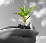 امـــید به آینده